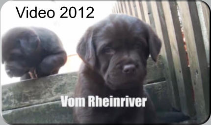 Video 2012