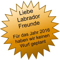 Fr das Jahr 2016  haben wir keinen      Wurf geplant    Liebe Labrador Freunde